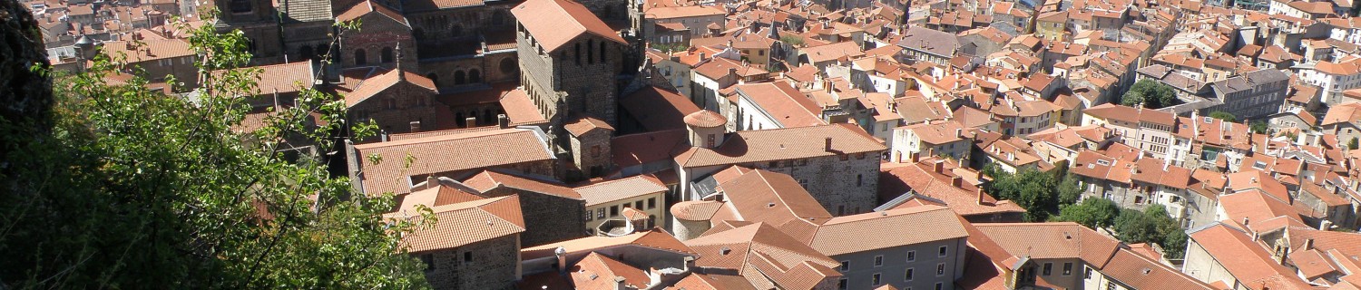 Demandez un devis pour une détection de réseau (gaz, assainissement, électrique, eau, téléphonique, ...) dans le département de la Haute-Loire (43) : Puy-en-Velay, Brioude, Yssingeaux, Sainte-Sigolène, Aurec-sur-Loire, Brives-Charensac, Monistrol-sur