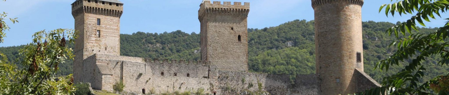 Demandez un devis pour une détection de réseau (gaz, assainissement, électrique, eau, téléphonique, ...) dans le département de l''Ariège (09) : Lavelanet, Saverdun, Mirepoix, Saint-Girons, Foix, Lavelanet et Tarascon-sur-Ariège