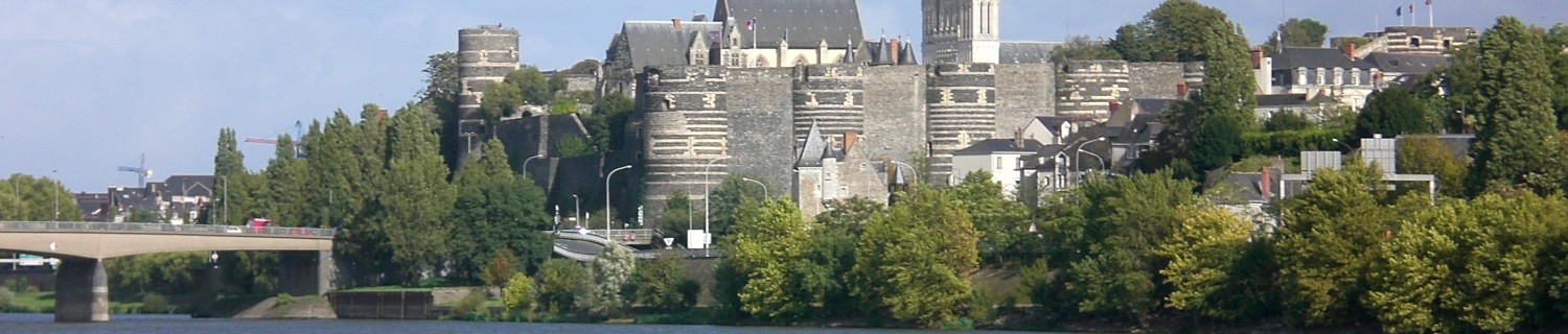 Demandez un devis pour une détection de réseau (gaz, assainissement, électrique, eau, téléphonique, ...) dans le département de le Maine et Loire (49) : Angers, Cholet, Saumur, Avrillé, Les-Ponts-de-Cé, Trélazé, Saint-Barthélémy-d''Anjou et Doué-la-F